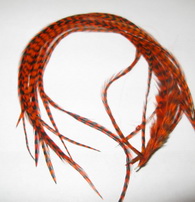���� Dry Fly (��� ����� ���) 10 �� ������ ���������  , ������ � 14